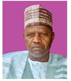 We're Bridging The Gap Of Mass Retirement In Yobe – Bilal 1 Bilal