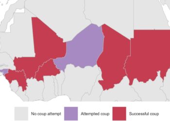 Again, A Bizarre Joke In Niger Speaks French