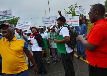 Subsidy Protest: Workers Storm Govt House, State Assembly In Niger