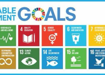 SDGs: CSOs Seek Overhaul Of Office, Appointment Of New Presidential Aide   