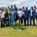 Mobus Properties Launches 'Project Green' With 1500 Trees 5 Mobus Properties Launches ‘Project Green’ With 1500 Trees