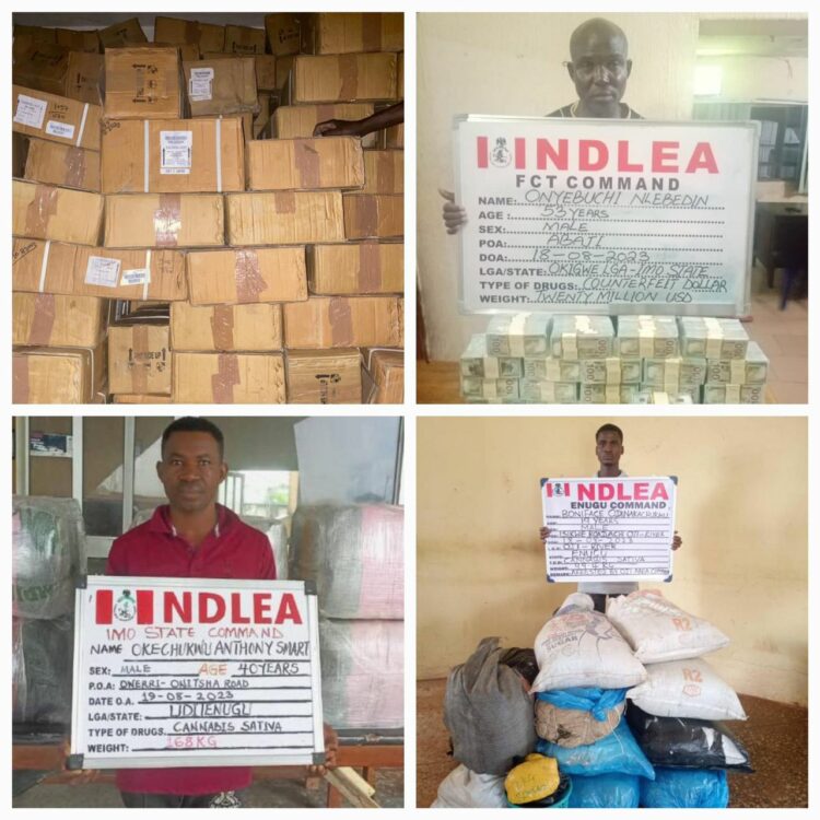 NDLEA