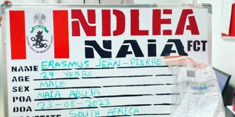 Ndlea