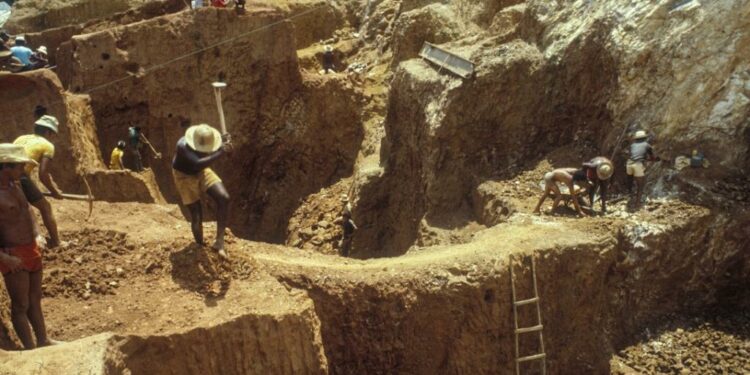 Illegal Miners