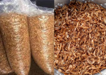 Making Extra Income Through Crayfish Export