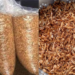 Making Extra Income Through Crayfish Export 5 Making Extra Income Through Crayfish Export