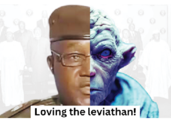 Engaging Nigerien Military President Is Like Having Sex with Someone You Hate