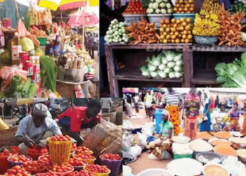 Group Laments Impacts Of Forex On Food Sector