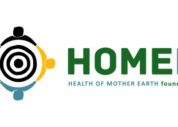 HOMEF Faults Creation Of Gas Resources, Blue Economy Ministries
