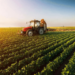 Nigeria’s Agric Sector Rebounds In Q2, Grows By 1.5% 5 Nigeria’s Agric Sector Rebounds In Q2, Grows By 1.5%