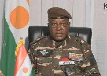 Coup: Niger Cuts Ties With Nigeria, France, Others