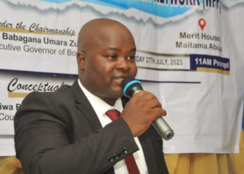 Only Diplomatic, Political Mechanisms Can Resolve Niger Impasse – Prof. Babalola
