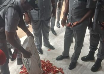 Customs Intercepts Ammunition Enroute Niger Republic In Ogun