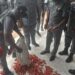 Customs Intercepts Ammunition Enroute Niger Republic In Ogun