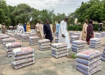 Katsina SEMA Distributes N50m Building Materials To Flood Victims