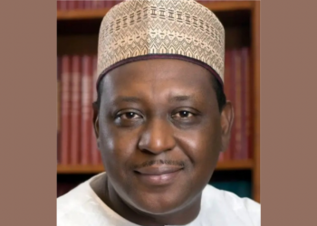 Nigerian Airlines Lack Gov’t Support — Onyema