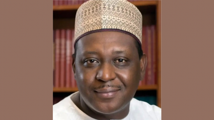 Coordinating Minister of Health and Social Welfare, Prof. Ali Pate.