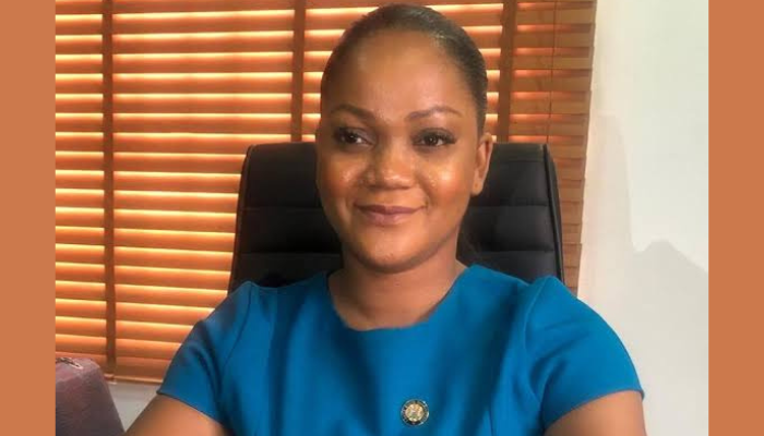 NIMC DG Parleys Senators On Challenges In NIN Enrollment 1 Abisoye Coker Odusote