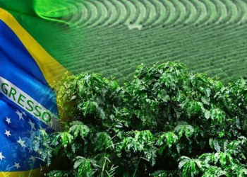 Nigeria-Brazil Agriculture Bilateral Project Can Help Boost Food Security In Nigeria