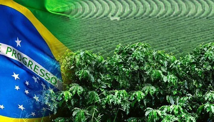 Nigeria-Brazil Agriculture Bilateral Project Can Help Boost Food Security In Nigeria 1 Brazils Agric sector USDA
