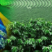 Nigeria-Brazil Agriculture Bilateral Project Can Help Boost Food Security In Nigeria 5 Nigeria-Brazil Agriculture Bilateral Project Can Help Boost Food Security In Nigeria