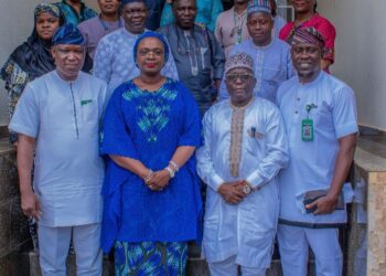 Council Rates Gov Adeleke’s Climate Agenda High, Pledges Partnership, Technical Support   