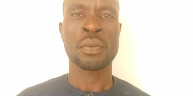 Adamawa