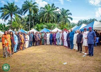 Imo Guber: Okigwe Zone Endorses Samdaddy, Insists On Owerri Zone Mandate