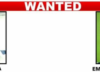 EFCC Declares 2 Siblings Wanted Over N330m Fraud    