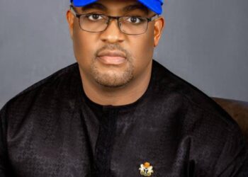 NNPP Governorship Candidate Pledges Agricultural Revolution In Imo