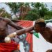 Promoter Moves To Take Local Boxing, Dambe Beyond Nigeria 5 Promoter Moves To Take Local Boxing, Dambe Beyond Nigeria