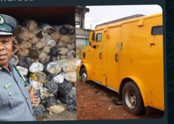 IAWPA World Peace President Congratulates Nigerian Custom Over Achievement