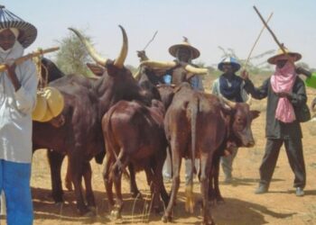 Miyetti Allah Begs Federal Govt Over Palliatives For Herders