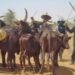 Miyetti Allah Begs Federal Govt Over Palliatives For Herders