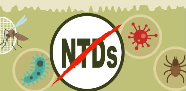 Federal Govt To Eliminate Neglected Tropical Diseases By 2027 1 NTDs 1