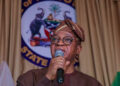 Apapa, Tin-Can Island Ports Need Immediate Rehabilitation – Oyetola
