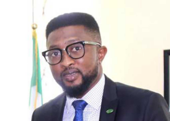 APC Chairman Canvasses Closer Nigeria, South Africa Ties