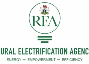 REA Expands NEP With AfDB $250m Facility