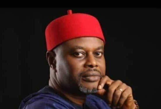 Federal Gov't Optimistic About Mass Production Of Insect-Resistant Maize 1 Uche Geoffrey Nnaji 1