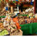 As NESG, CISLAC, Seek Solution To Nigeria‘s Malnutrition With Food Fortification 5 As NESG, CISLAC, Seek Solution To Nigeria‘s Malnutrition With Food Fortification