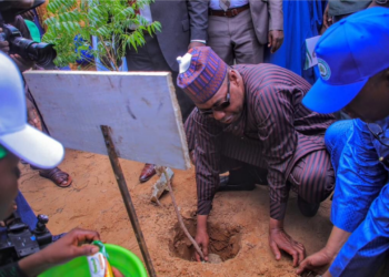 Zulum Flags Off 1.2m Tree Planting Campaign In Borno