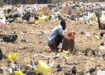 Kano Faces Rise In Open Defecation