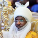 Ex-Emir Sanusi II, Elumelu, Mrs Saraki, Others Arrive New York For UNGA 78 5 Ex-Emir Sanusi II, Elumelu, Mrs Saraki, Others Arrive New York For UNGA 78