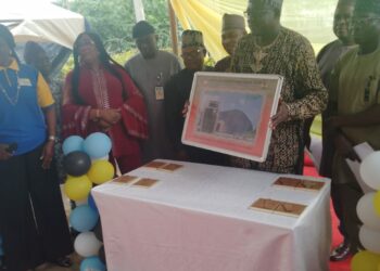 PAPU House: NIPOST Unveils N255 Commemorative Stamp