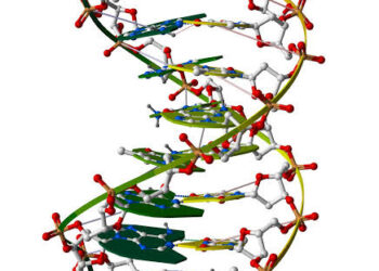 DNA Centre Sheds Light On Child Paternity Fraud In Nigeria