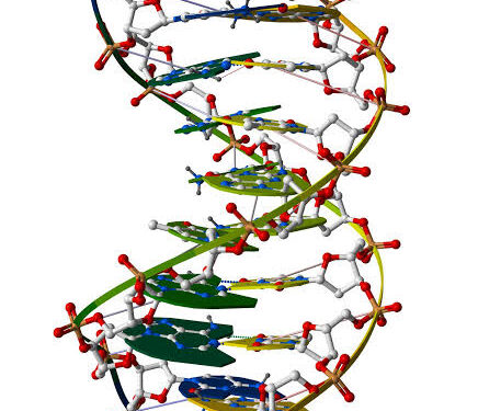 DNA