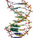 DNA Centre Sheds Light On Child Paternity Fraud In Nigeria 5 DNA Centre Sheds Light On Child Paternity Fraud In Nigeria