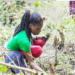 Exploring Green Skills Among Youths For Sustainable Environment