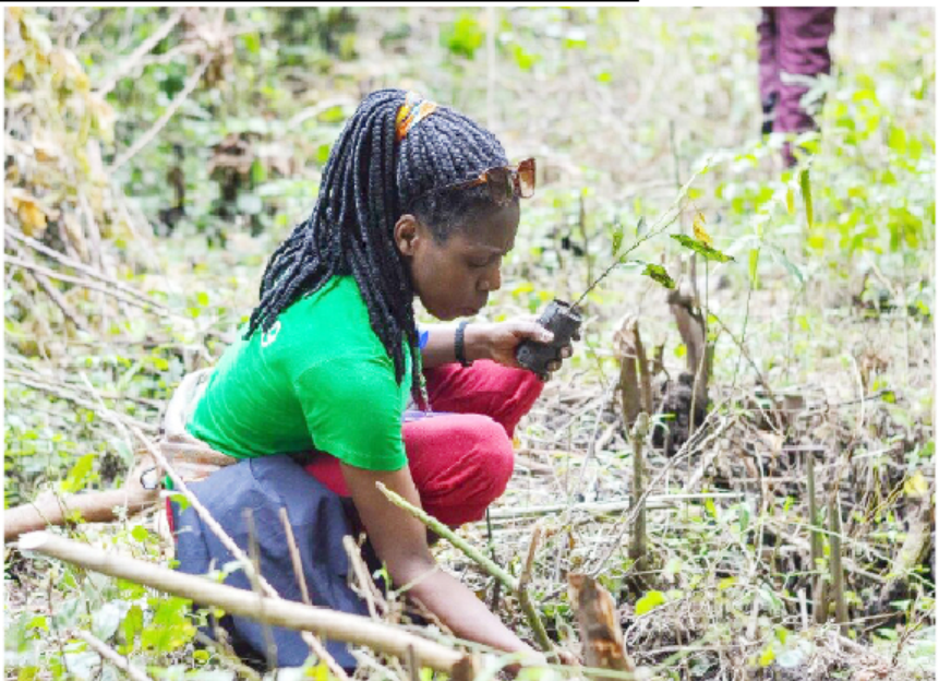 Exploring Green Skills Among Youths For Sustainable Environment