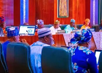 FEC Meetings No Longer Weekly, To Hold Mondays —Federal Govt